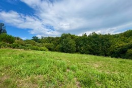 1559 -  BEAU TERRAIN A BATIR DE 2649 m2 AVEC PERMIS D'AMÉNAGER , A 6 KMS A L 'EST DE FIGEAC (LOT)