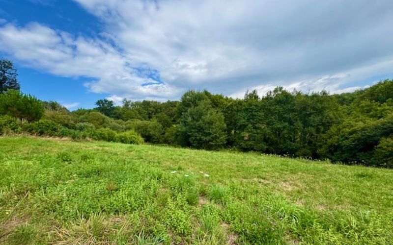 1559 -  BEAU TERRAIN A BATIR DE 2649 m2 AVEC PERMIS D'AMÉNAGER , A 6 KMS A L 'EST DE FIGEAC (LOT)